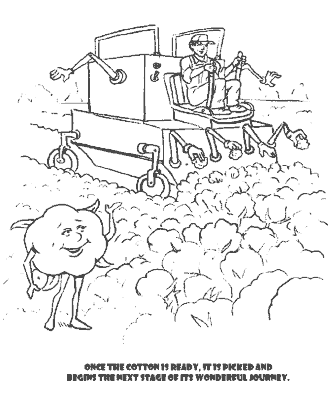 story of cotton coloring page