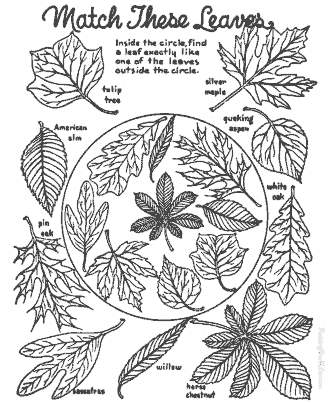 fall coloring pages
