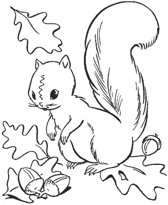 fall coloring page