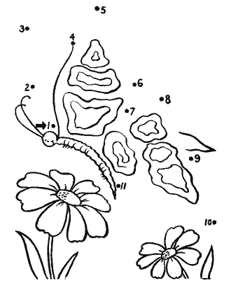 butterfly coloring pages