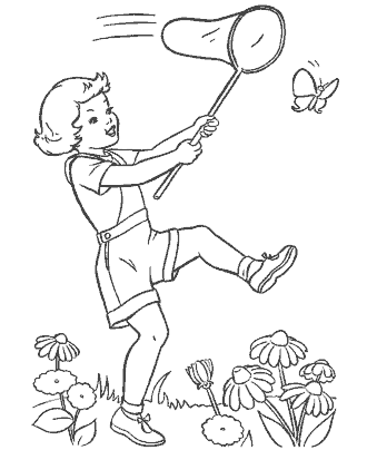 butterfly coloring page