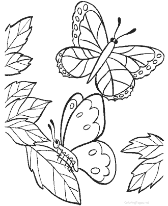 printable butterfly coloring page