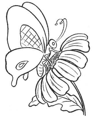 butterfly coloring page