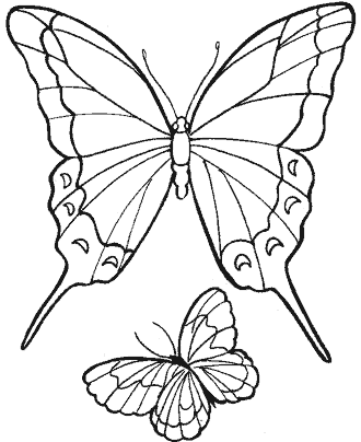 butterfly coloring page