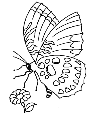 butterfly coloring page