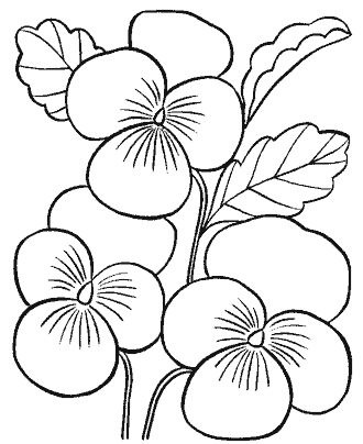 printable flower coloring pages