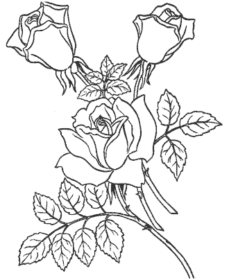 flowers coloring page