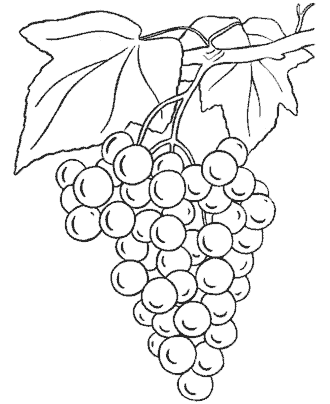 fruit coloring page