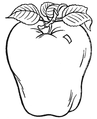fruit coloring page