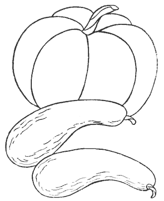 fruit coloring page