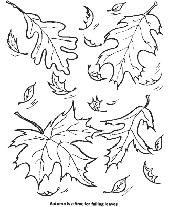 printable leaves coloring pages