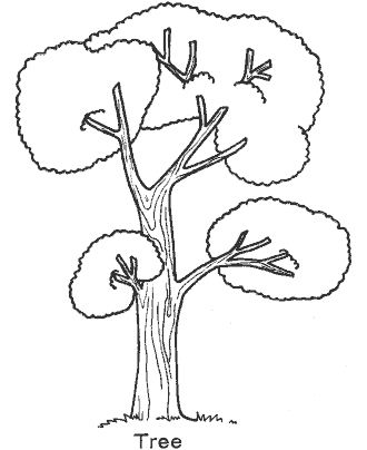 leaf coloring page