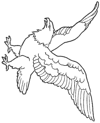 eagle coloring pages