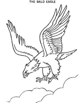 eagle coloring pages