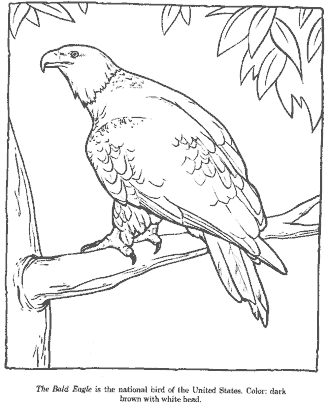 eagle coloring page